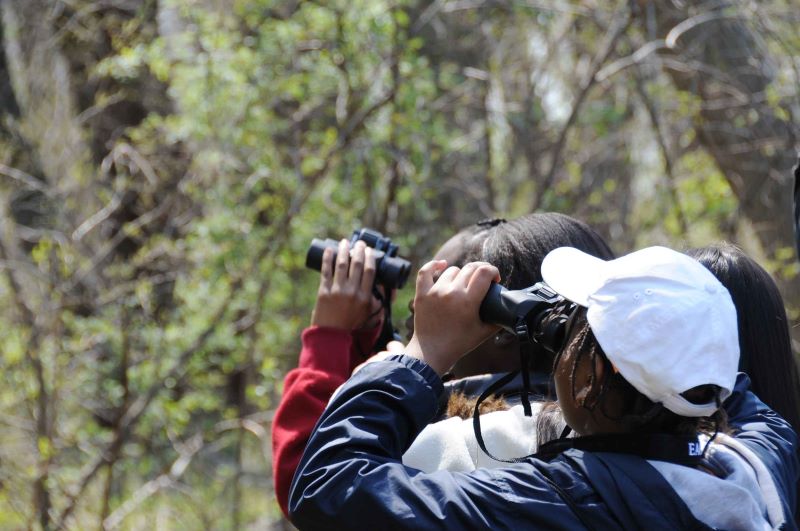 bipoc birders with binoculars