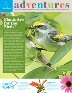 audubon adventures plants cover