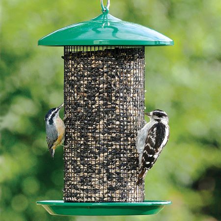 birder feeder-screen