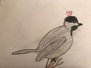 chickadee drawing by Eliza
