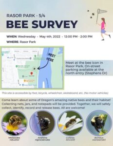 Bee Survey in Rasor Park