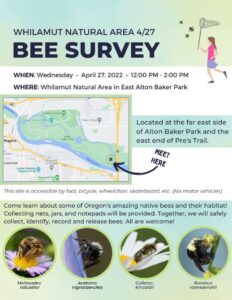 Bee Survey 