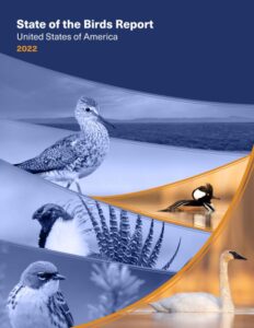 State of the Birds Report 2022