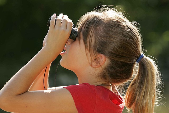 Birder girl with binoculars