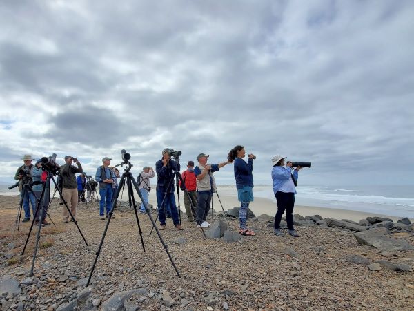 3rd Saturday birders at coast with scopes