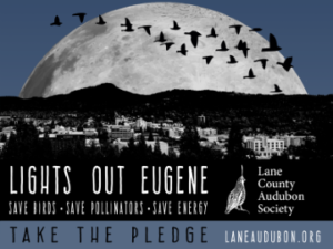 Lights Out Eugene 2023