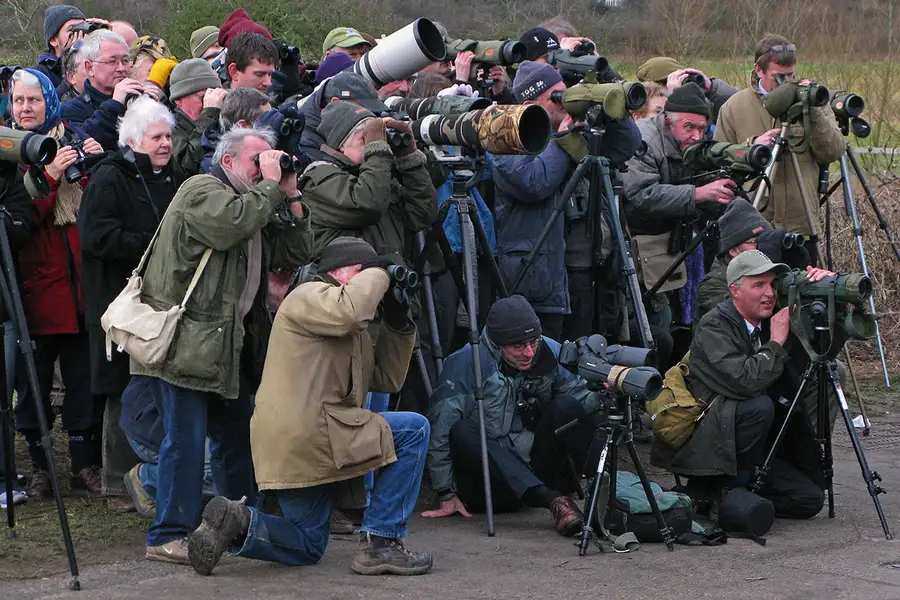 birders with binoculars