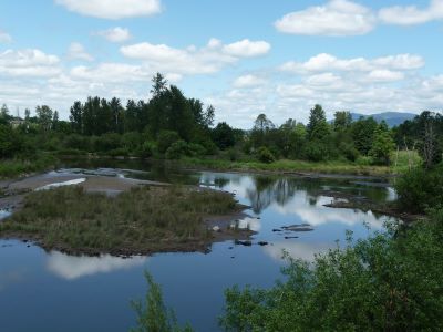Delta Ponds in Eugene OR