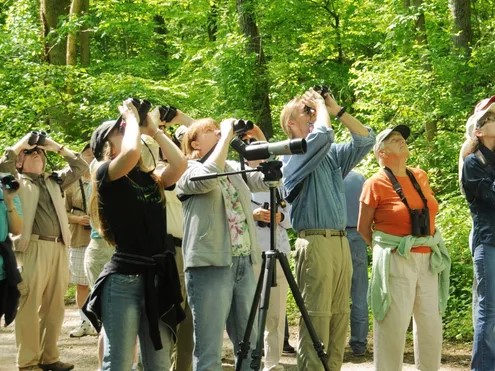 birders with scope